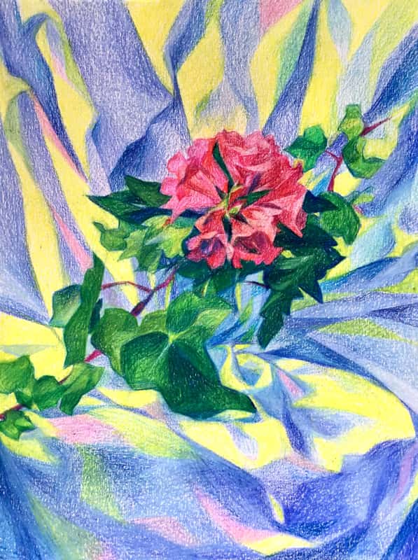 Dessin: Rhododendron aux Crayons de Crayons de Couleurs