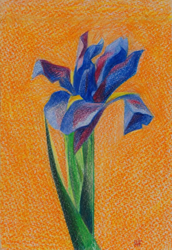 Iris - Crayons de Couleurs - 15cm x 22cm